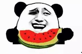 吃瓜群众网免费观看,吃瓜群众网带你开启无广告观影之旅