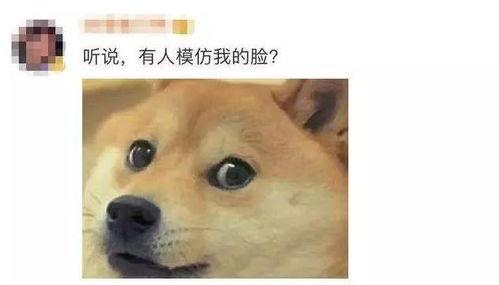 网红吃瓜事件狗头,狗头表情背后的网络狂欢与反思