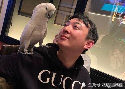 网红吃瓜事件狗头,狗头表情背后的网络狂欢与反思