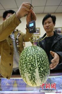 国产大学生反差吃瓜黑料官网