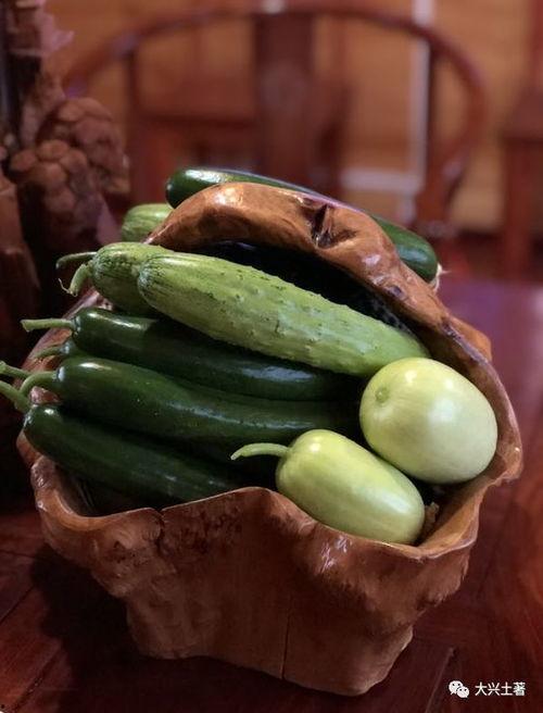 景德镇网红吃瓜,揭秘幕后故事与热门话题