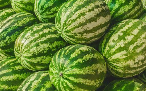 在哪个网可以吃瓜,瓜田何处，尽享八卦盛宴