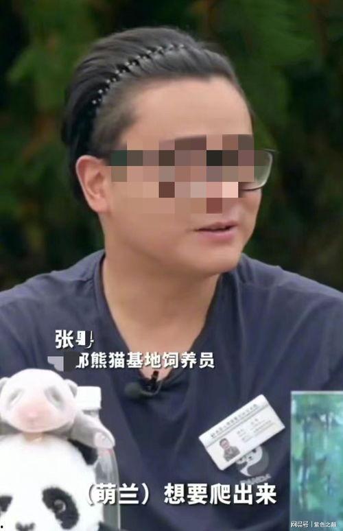 网红爸爸吃瓜,揭秘娱乐圈幕后故事