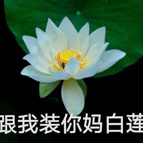 超帅网红吃瓜图片头像,解锁超帅头像背后的故事