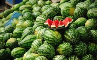 厦门网红吃瓜事件真相是真的吗,真相揭秘，还原事件始末