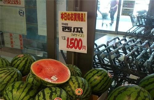 东北吃瓜网,揭秘东北美食背后的故事与风情