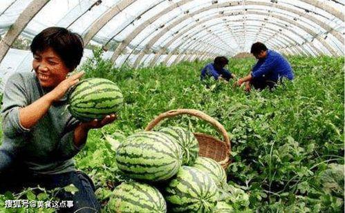 温岭吃瓜婚庆网红是谁啊,她是如何成为网络红人的？