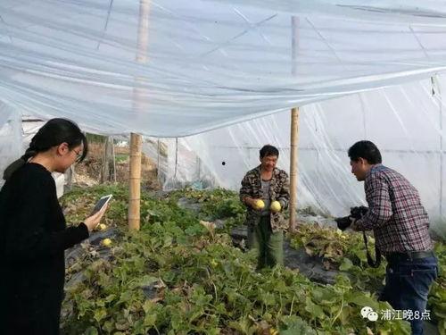 吃瓜群众活动中心官网,打造全民娱乐新阵地