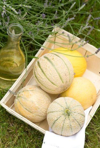 网红二饼吃瓜内容,揭秘网红圈幕后故事