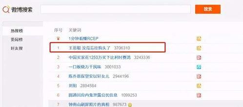 吃网红瓜的网址叫什么,揭秘网络热点背后的真相