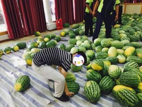 光山网红邱县长吃瓜视频,揭秘光山网红现象