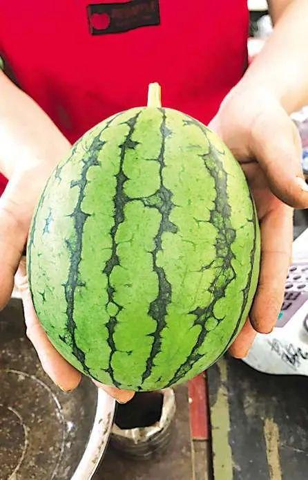 网爆事件吃瓜,揭秘幕后真相，吃瓜群众如何应对信息洪流