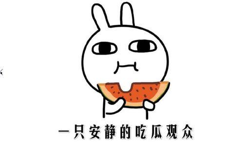 那些吃瓜网红是谁啊,那些吃瓜网红的幕后故事