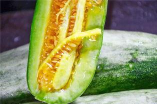 吃瓜网红最近怎么样了啊