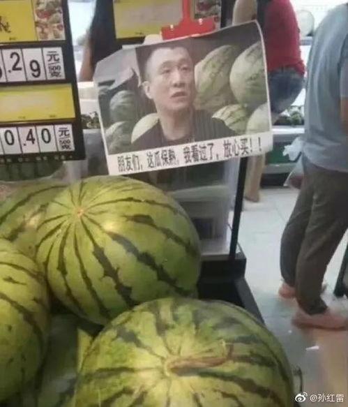 网红星野吃瓜,揭秘网红圈幕后故事