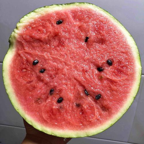 吃瓜网是西瓜视频吗,吃瓜网与西瓜视频，究竟有何关联？