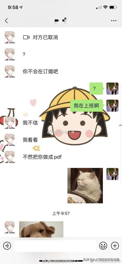 网红瓜都是谁吃的图片搞笑