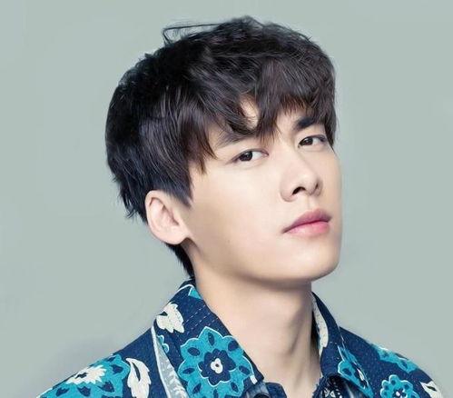 51cg吃瓜网李易峰,51cg吃瓜网热议焦点，揭秘娱乐圈风云人物