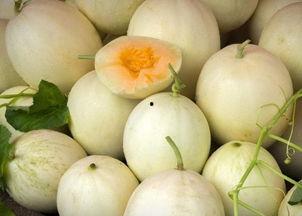 网红吃白兰瓜是真的吗视频,真相揭秘，是炒作还是美味诱惑？