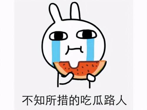 吃瓜网被骗,网络诈骗背后的惊人真相