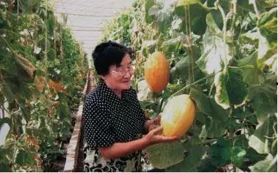 临沂16岁网红安怡吃瓜,揭秘吃瓜少女的网红之路