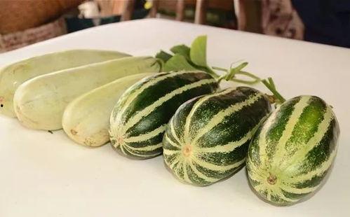 网红瓜太熟可以吃吗图片,揭秘能否直接食用之谜