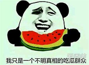 吃瓜网吃瓜群众,揭秘吃瓜网背后的故事